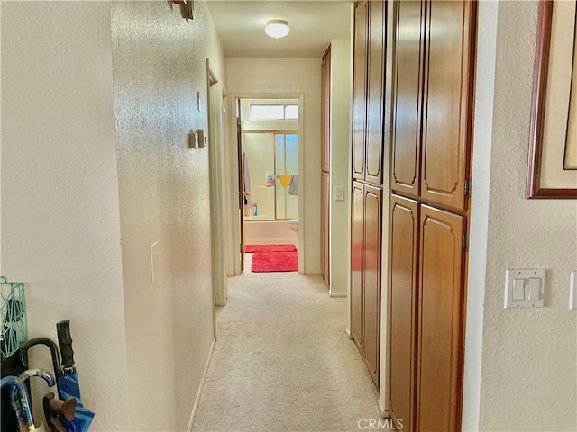 corridor with light colored carpet