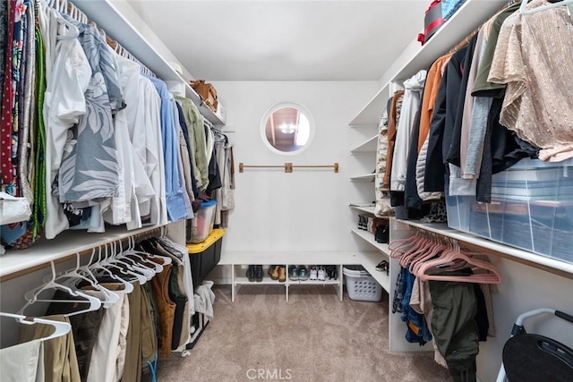 8865 San Gabriel Rd, Atascadero, CA 93422 - walk in closet featuring carpet floors
