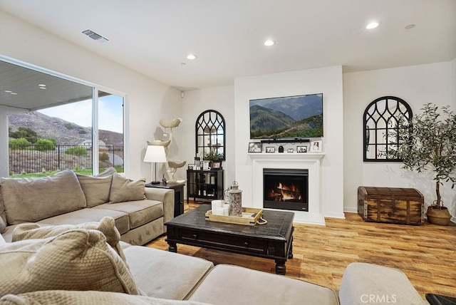 living room featuring a mountain view and light wood-type flooring