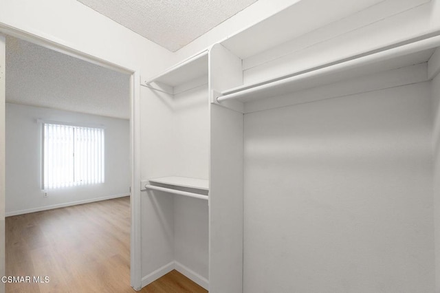 spacious closet featuring wood-type flooring