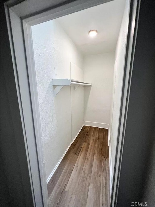 walk in closet with light wood-type flooring