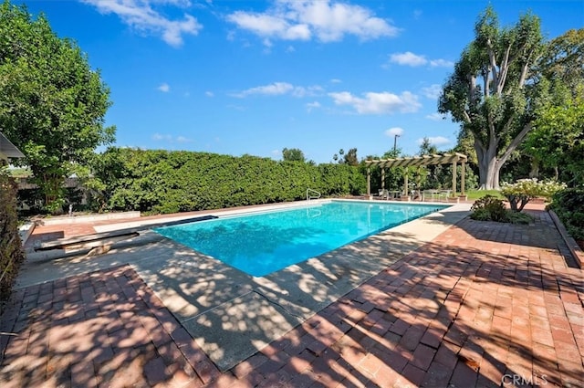 view of swimming pool with a patio