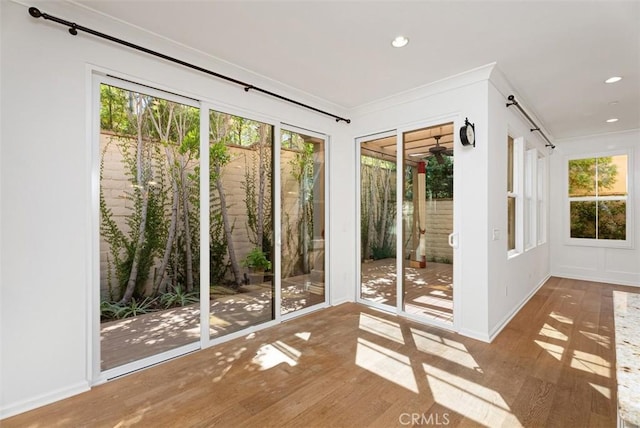 doorway to outside with hardwood / wood-style floors and plenty of natural light