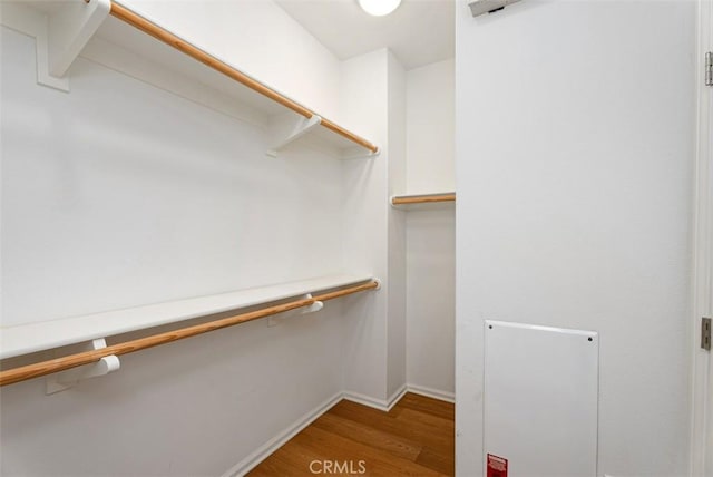 walk in closet featuring wood-type flooring