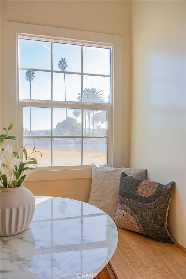 dining space featuring hardwood / wood-style flooring