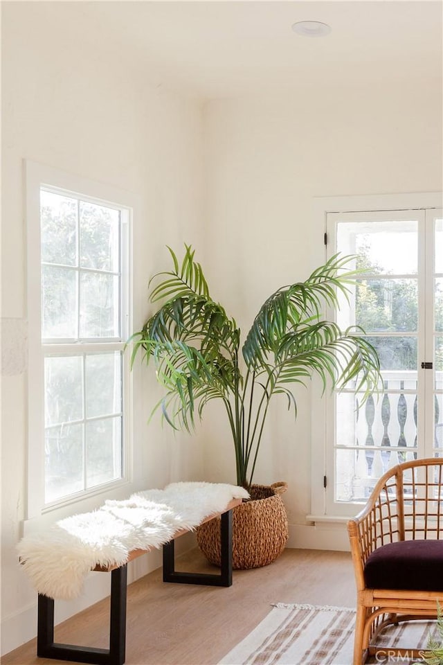 sitting room featuring plenty of natural light