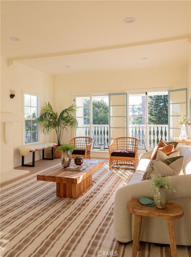 living room with plenty of natural light