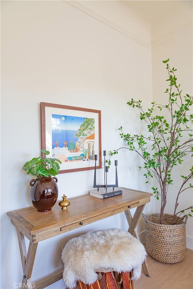 home office featuring hardwood / wood-style flooring