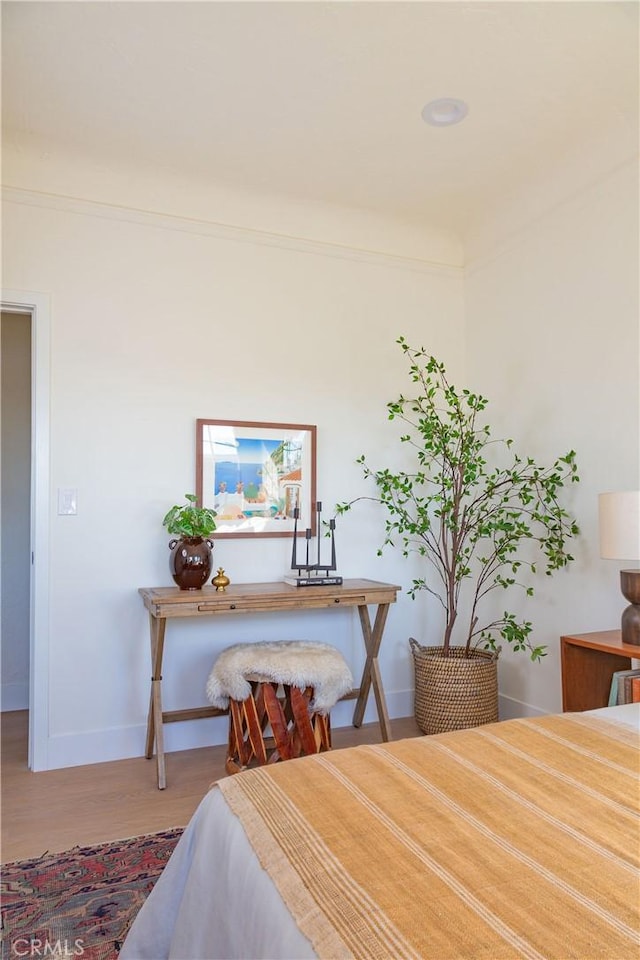 bedroom with hardwood / wood-style floors