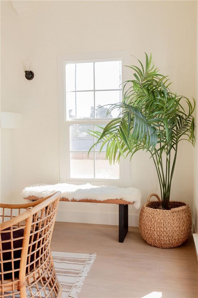 interior space with hardwood / wood-style flooring