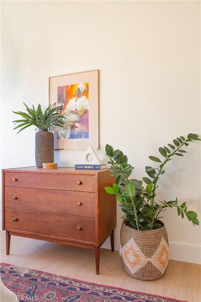 interior details with hardwood / wood-style flooring