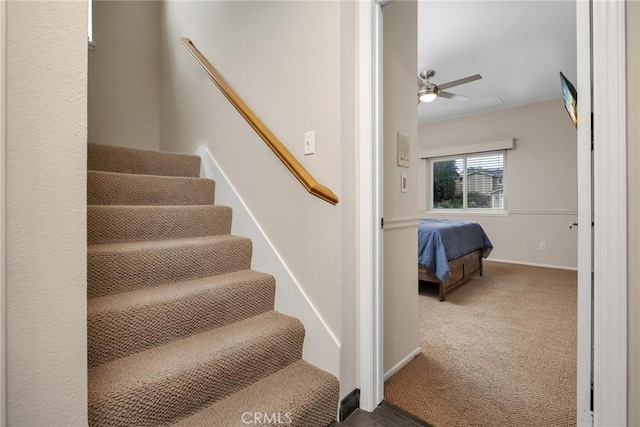 stairway with carpet flooring and ceiling fan