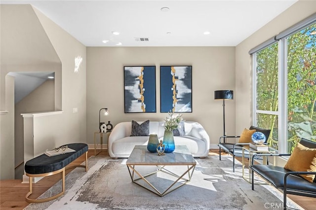 living room featuring hardwood / wood-style flooring