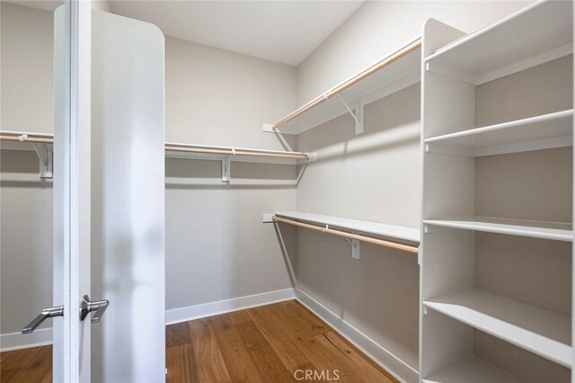 walk in closet featuring hardwood / wood-style floors