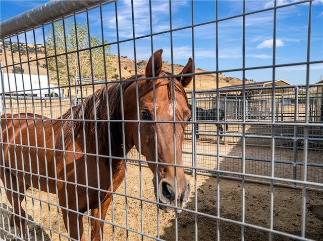 view of horse barn