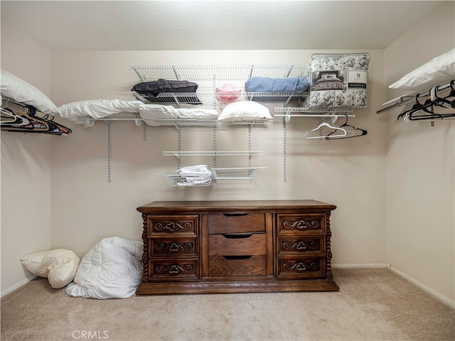 spacious closet featuring light carpet