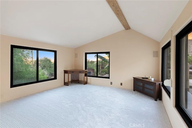 15911 Falls Creek Rd, Whitewater, CA 92282 - photo 42