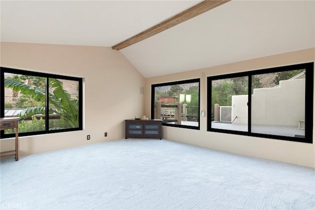 15911 Falls Creek Rd, Whitewater, CA 92282 - photo 43