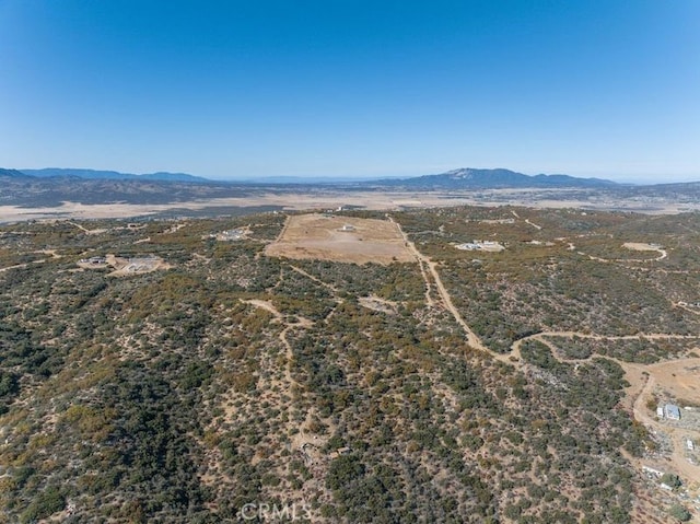 0 Table Mountain Truck Trail, Anza, CA 92539 - photo 12