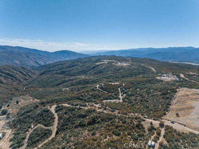 0 Table Mountain Truck Trail, Anza, CA 92539 - photo 28