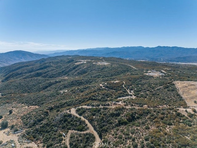 0 Table Mountain Truck Trail, Anza, CA 92539 - photo 24