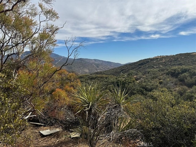 0 Table Mountain Truck Trail, Anza, CA 92539 - photo 8
