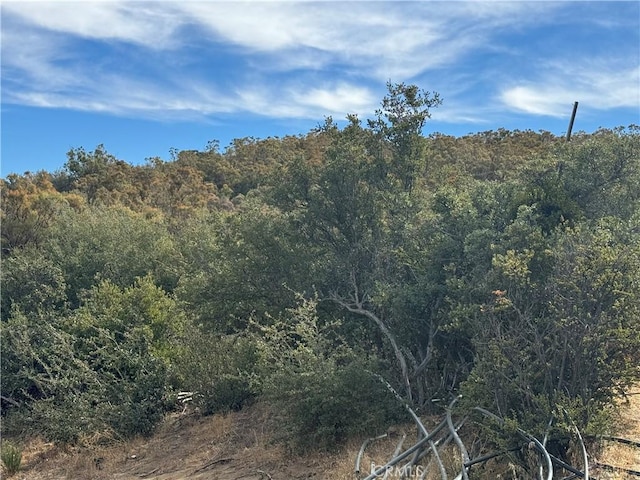 0 Table Mountain Truck Trail, Anza, CA 92539 - photo 11