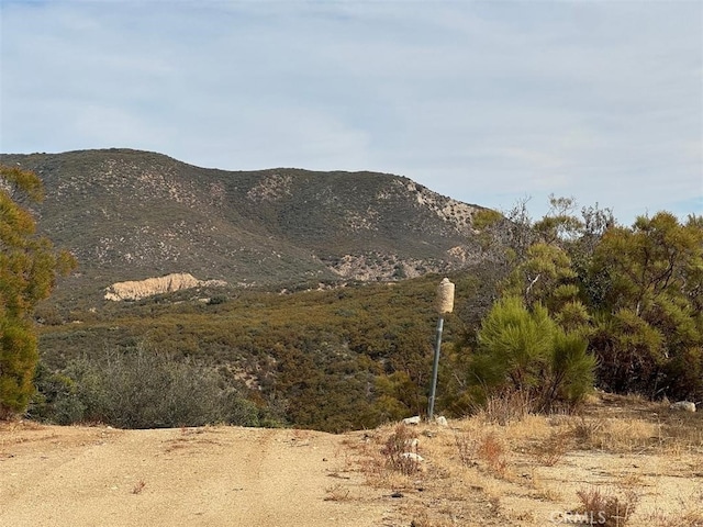0 Table Mountain Truck Trail, Anza, CA 92539 - photo 4