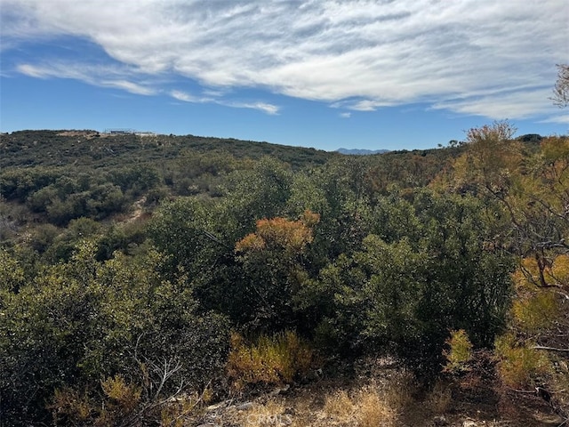 0 Table Mountain Truck Trail, Anza, CA 92539 - photo 10