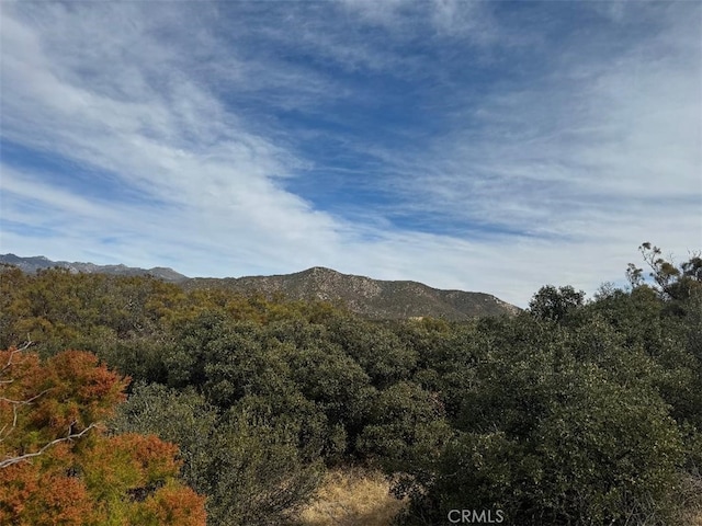 0 Table Mountain Truck Trail, Anza, CA 92539 - photo 9