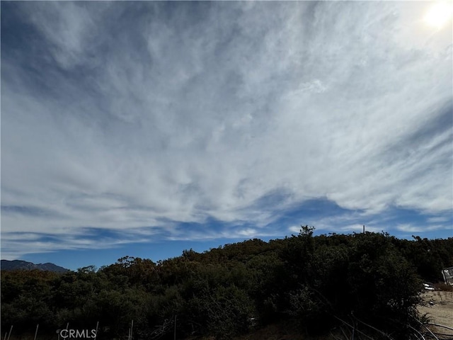 0 Table Mountain Truck Trail, Anza, CA 92539 - photo 15