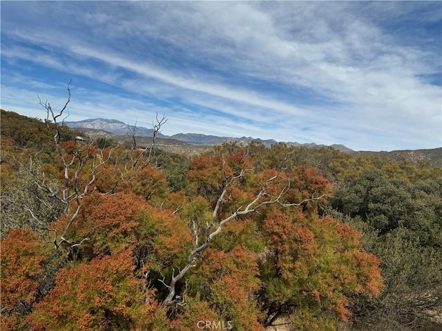 0 Table Mountain Truck Trail, Anza, CA 92539 - photo 13