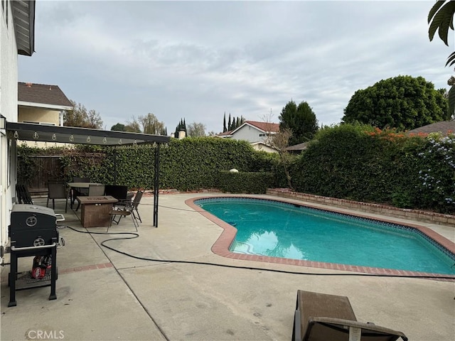 view of swimming pool with a patio area and a grill