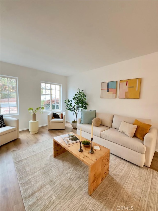 living room featuring light hardwood / wood-style floors