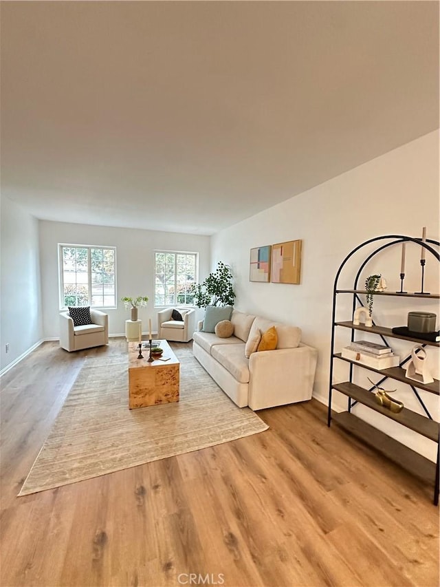 living room with wood-type flooring