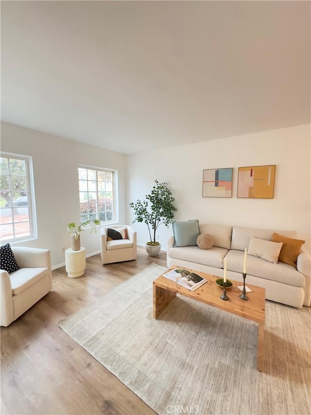 living room featuring hardwood / wood-style flooring