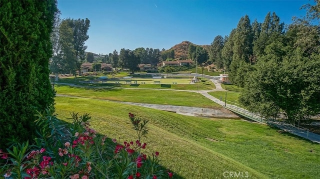 view of home's community with a lawn