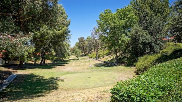 view of community with a lawn