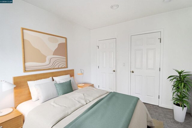 carpeted bedroom featuring multiple closets