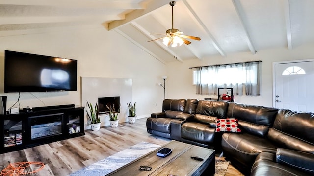 living room with lofted ceiling with beams, wood-type flooring, and ceiling fan