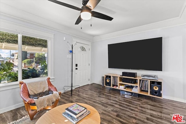 living room featuring hardwood / wood-style floors, ceiling fan, and crown molding