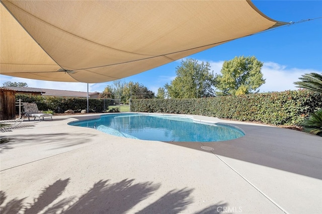 view of swimming pool featuring a patio area