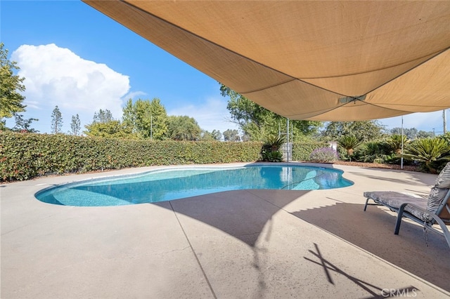 view of pool with a patio area