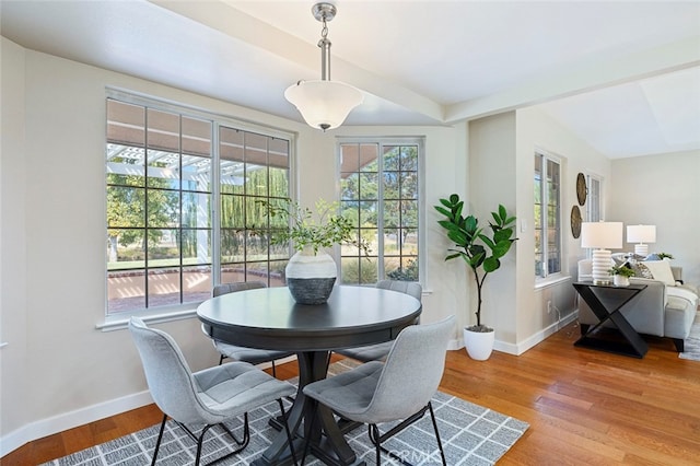 dining space featuring wood-type flooring