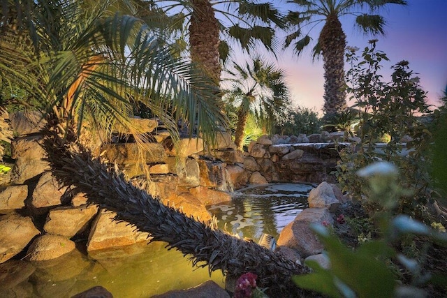 view of nature at dusk