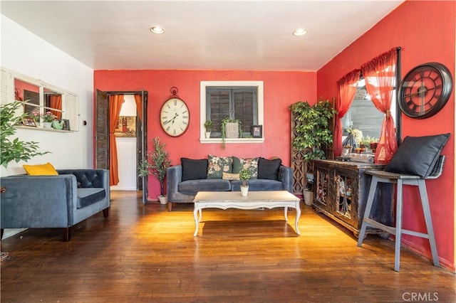 living room featuring wood-type flooring