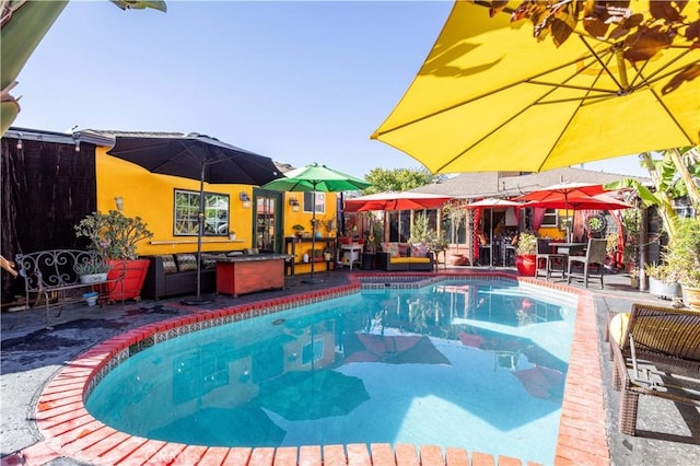 view of swimming pool with a patio