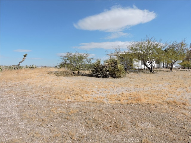 view of local wilderness with a rural view