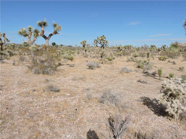 view of landscape featuring a rural view