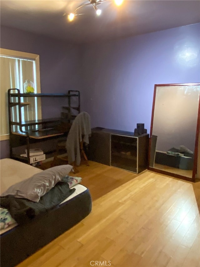 bedroom featuring wood-type flooring